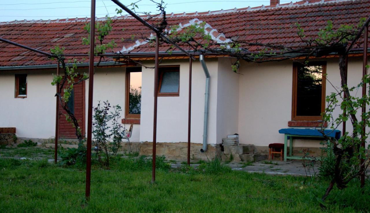 Guest House Art Eco Land Ganchovets Экстерьер фото