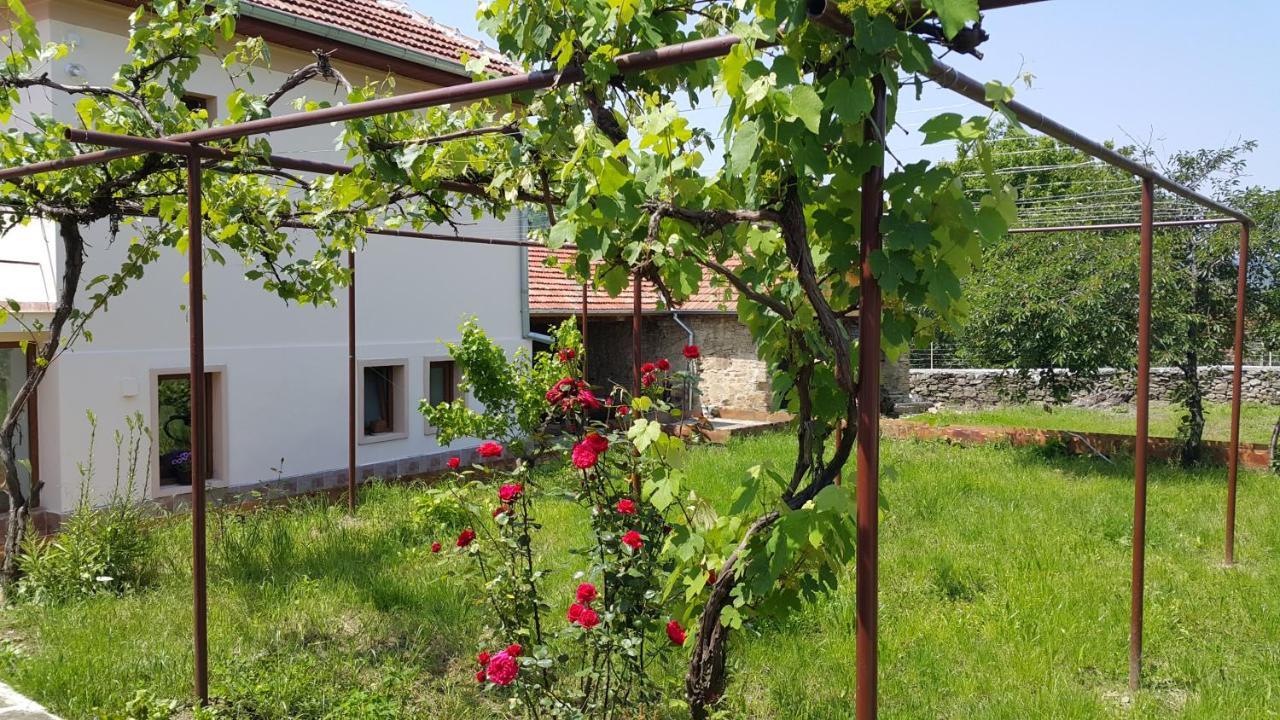 Guest House Art Eco Land Ganchovets Экстерьер фото
